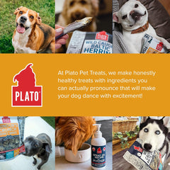 Plato Hundur's Crunch Jerky Minis