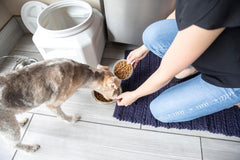 Gamma2 Vittles Vault Dog Food Storage Container with Airtight Lid