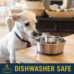 OurPet's DuraPet Premium Dishwasher Safe Stainless Steel Dog Bowl for Food or Water [Multiple Sizes for Small to Large Dogs] in Traditional or Wide Base Design