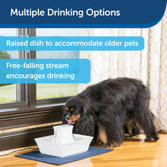 Drinkwell - PetSafe Drinkwell Pagoda Ceramic Cat & Dog Water Fountain, 70oz Capacity, Encourages Hydration, Open Bowl Design, White