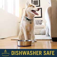 OurPet's DuraPet Premium Dishwasher Safe Stainless Steel Dog Bowl for Food or Water [Multiple Sizes for Small to Large Dogs] in Traditional or Wide Base Design