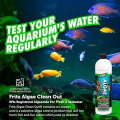 Fritz Aquatics Algae Clean Out - Algaecide for Fresh and Salt Water Aquariums