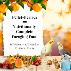 LAFEBER'S Pellet-Berries Pet Bird Food, Made with Non-GMO and Human-Grade Ingredients, for Cockatiels, Conures, Parakeets (Budgies), Lovebirds (PelletBerries 10 oz)