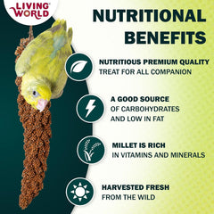 Living World - Millet Spray for Birds, Premium Treat for Budgies, Canaries, Finches, Cockatiels and Other Pet Birds