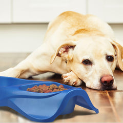 Van Ness Double Dish