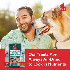 PLATO Pet Treats Fish Dog Treats - Air-Dried, Single Ingredient Dog Treat - with Omega 3 & 6 Fatty Acids to Support Skin and Coat - 100% Whole Fish - Wild Caught Baltic Herring Dog Treats