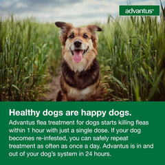 Advantus Dog Advantus Chewable Flea Treatment for Dogs | 30 ct.