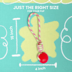 Snugarooz Spike-O-Mite - Red - Rope Toy with Spiky Ball for Fetch and Tug - Non-Toxic for Safe Fun – Perfect for Large Dogs - Made for Recycled Materials