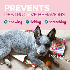TropiClean No Chew Spray for Puppies, Better Than Bitter Apple Spray, Safe & Natural Chew + Lick Deterrent, Protect Home 8 oz