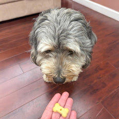 Exclusively Dog Best Buddy Bones Training Treats for Dogs and Puppies - Cheese Flavor, 5.5oz Resealable Bag