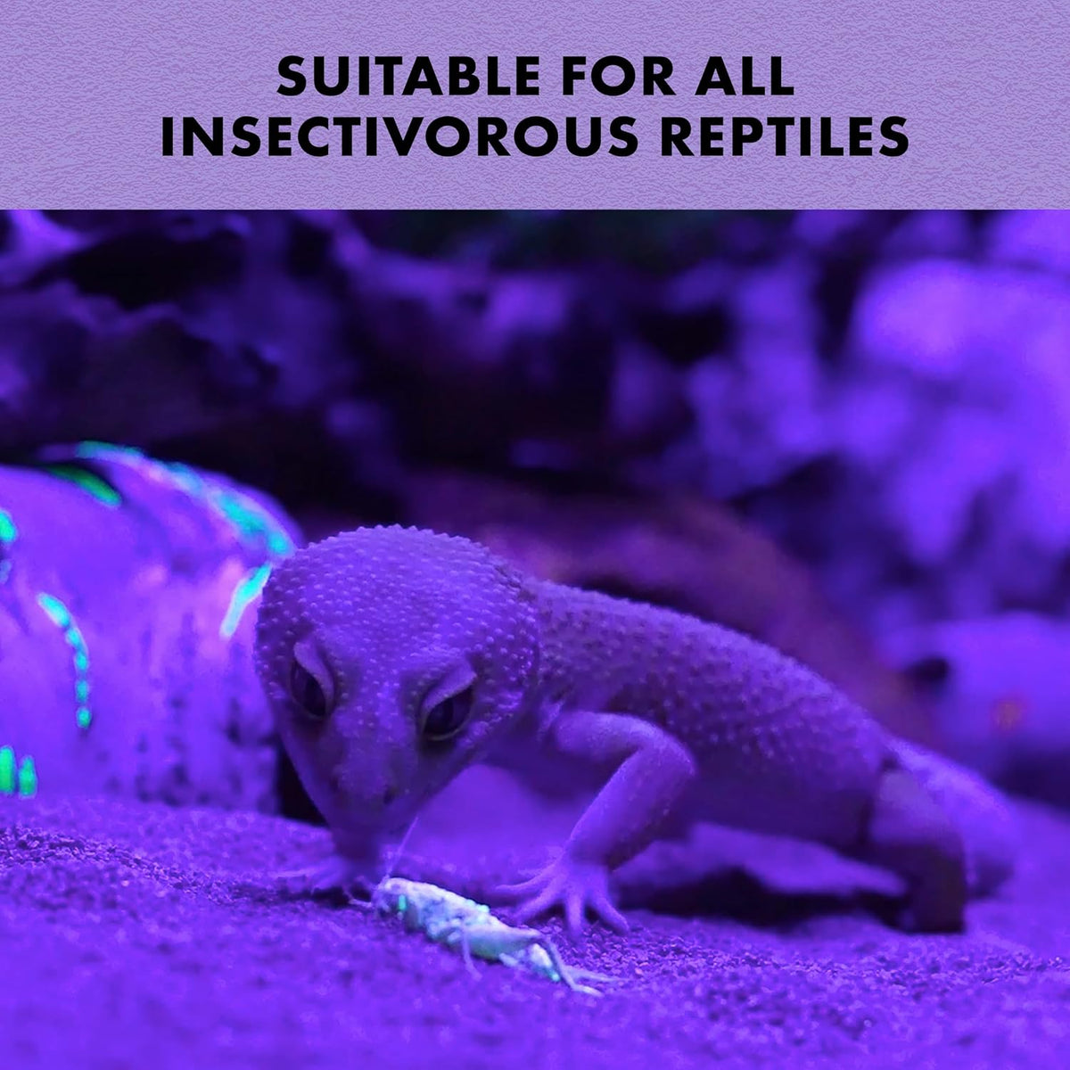 Zilla Cricket Glow Powder — add to Reptile Food for a Fun Twist, More exciting Than Plain Calcium Powder Fluoresces Under Black Light, Ideal for Insectivores, 4 Ounces
