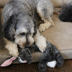 Skinneeez Tons-O-Squeakers Rabbit Dog Toy - with 19 Squeakers for Tons-O-Fun! Stuffing-Free Design is Great for Moderate Chewers, Tug Toy for Medium to Large Puppies & Dogs - 20in Color May Vary