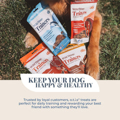 O.T.I.S. Wild Things Trainers Salmon Recipe – 4 oz – Bite-Size Dog Training Treats with DHA, Ashwagandha & L-Theanine – Wild Caught – No Hormones or Additives