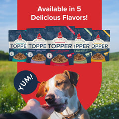 PLATO Pet Treats Dog Food Toppers - Air-Dried Dog Food Toppers for Dry Food - with Collagen to Support Skin and Coat Health - Beef and Collagen Recipe