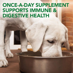 HERO PET  Vet's Best Probiotic Soft Chews Dog Supplement - Supports Dog Digestive Health - Promotes a Healthy Gut - 30 day supply