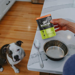 Go! Solutions Booster Immune Health, Grain-Free Wet Dog Food Topper