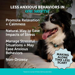 Pet Honesty Natural Hemp Calming Chews for Dogs - Dog Anxiety Relief - Calming Aid Supplement with Valerian Root, Chamomile, + Magnesium - Stress, Separation & Thunder Support - (Chicken, 90 Count)
