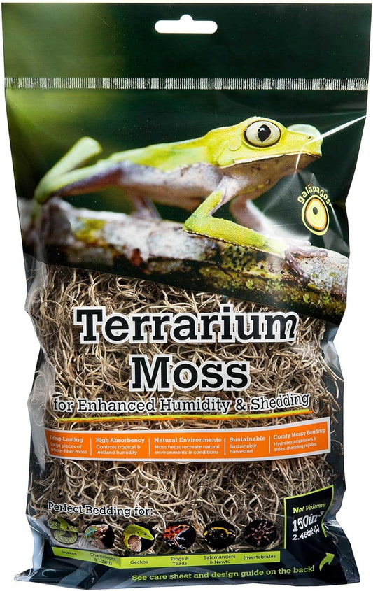 Galápagos Spanish Moss, Mini Bag