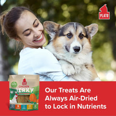 PLATO Pet Treats Dog Treats - Air-Dried Jerky for Dogs - Delicious, Real Meat Dog Treats - Grain Free - Supports Healthy Digestion - Chicken Jerky with Pumpkin