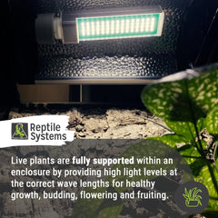 New Dawn LED Compact Lamp : 6500K, Full Spectrum LED Luminaire Lighting for Natural Plant Growth in Terrariums, Vivariums, Hydroponics & Aquaponics