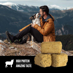 ORIJEN Freeze Dried Lamb Recipe Dog Treats, WholePrey Ingredients, 3.25oz (PACK OF 2)