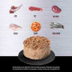 ORIJEN Adult Regional RED Entree in Bone Broth Wet Cat Food, Fresh and Raw Animal Ingredients