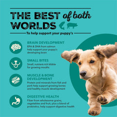 ACANA™ Wholesome Grains Dry Dog Food Puppy Sea & Farm Recipe