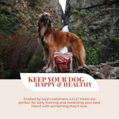 O.T.I.S. Wild Things Bison Lung Filets – 4 oz – Single-Ingredient Dog Treats – Grass-Fed, Farm-Raised Bison – No Hormones, Antibiotics, or Additives