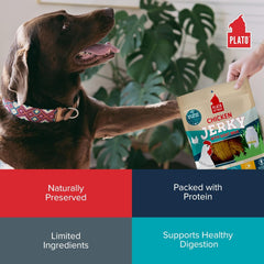 PLATO Pet Treats Dog Treats - Air-Dried Jerky - Delicious, Real Meat - Grain Free - Supports Healthy Digestion - Chicken with Goat Milk