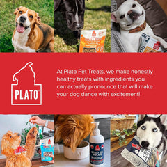 PLATO Pet Treats Small Bites - Air-Dried Training Treats for Dogs - Supports Healthy Digestion - Limited Ingredients - Lamb