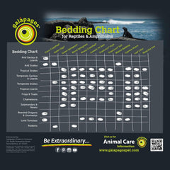 Galápagos Tropicoco Soil Brick Natural Coconut Soil Bedding