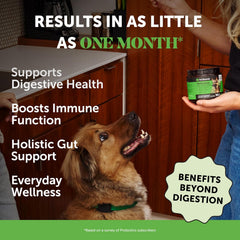 Pet Honesty Probiotics for Dogs, Dog Probiotics for Digestion Support, Digestive Enzymes Promotes Gut Health & Prebiotics for Immunity Health & Itch Relief, (Pumpkin 90 ct)