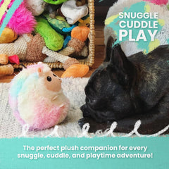 Snugarooz Hide & Seek House with Repair Patch - 4-in-1 Plush Dog Toy Set Made from Recycled Bottles - Engaging Interactive Fun