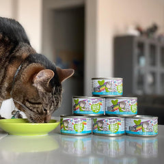 Weruva B.F.F. OMG - Best Feline Friend Oh My Gravy!, Chicken Cloud 9 with Chicken in Gravy, 5.5oz Can (Pack of 8)