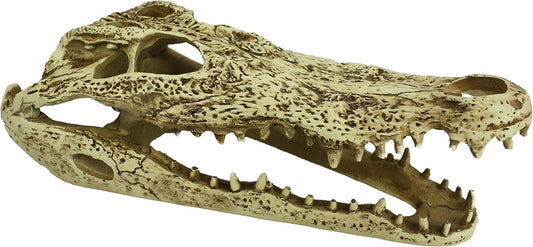 Komodo Reptile Terrarium Realistic Alligator Skull Ornament Decor | Easy to Clean Under Water Aquarium or Dry Habitat Decoration Accessory, 9 Inches