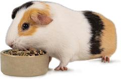 Kaytee Field+Forest Guinea Pig Food 4 Pounds