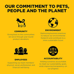 Go! Solutions Sensitivities Limited Ingredient, Grain-Free Dry Cat Food, Duck Recipe for Sensitive Stomach