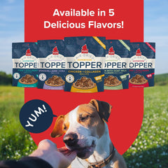 PLATO Pet Treats Dog Food Toppers - Air-Dried Dog Food Toppers for Dry Food - with Collagen to Support Skin and Coat Health - Chicken and Collagen Recipe