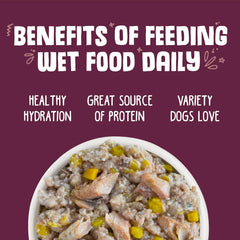 Weruva Classic Dog Food, Hot Dayam! with Lamb in Gelée