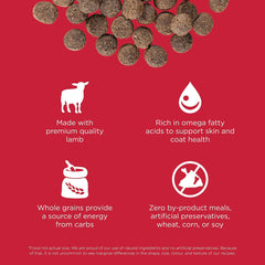 Go! Solutions Skin + Coat Care, Dry Dog Food, Lamb Recipe with Grains