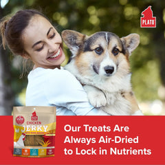 PLATO Pet Treats Jerky Dog Treats - Air-Dried Jerky for Dogs - Delicious, Real Meat Dog Treats - Grain Free - Supports Healthy Digestion - Chicken Jerky with Bone Broth