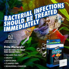 Fritz Maracyn - for Saltwater and Freshwater gram-Positive Relief from Bacterial gil, Popeye, More - Easy dose Packets