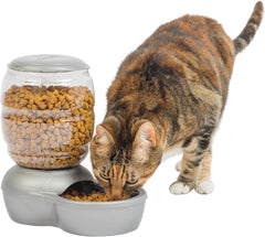 Petmate Replendish Feeder with Automatic Cat and Dog Feeder