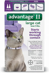 Elanco Advantage Cat Vet-Recommended Flea Treatment & Prevention | 4-Month Supply