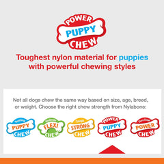 Nylabone Knuckle Bone & Pop-In Puppy Treat Toy Combo Power Chew Toy for Dogs, Dog Toys for Aggressive Chewers, Chicken Flavor