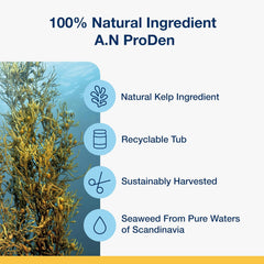 NaturVet ProDen PlaqueOff Soft Chews with Natural Kelp - for Large & Giant Breed Dogs - Supports Normal, Healthy Teeth, Gums, and Breath Odor in Dogs - 45 Soft Chews