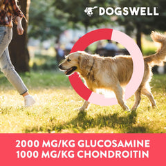 DOGSWELL Hip & Joint Dog Treats 100% Meaty, Grain Free, Glucosamine Chondroitin & Omega 3, Duck Soft Strips 10 oz