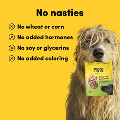 Animals Like Us - Premium Dog Treats, Freeze-Dried Raw 100% Grass-Fed Lamb Heart, Single Ingredient, Protein Rich, Non-GMO, No Wheat or Corn, 3 oz