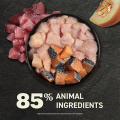 ACANA Premium Pate Variety 12 Pack: Salmon & Chicken Recipe (6) + Tuna & Chicken Recipe (6), 3oz