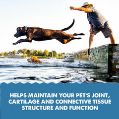 GRIZZLY PET PRODUCTS Joint Aid for Dogs Liquid Hip and Joint Support (Extra Strength)